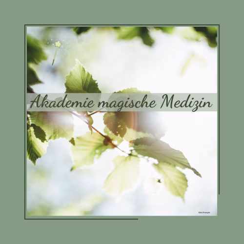 Akademie magische Medizin