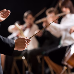 Hormonsprechstunde, das Hormonorchester